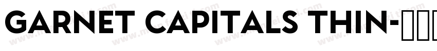 Garnet Capitals Thin字体转换